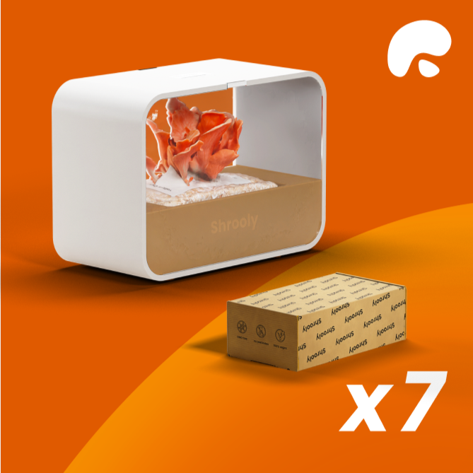 Gourmet King Pack