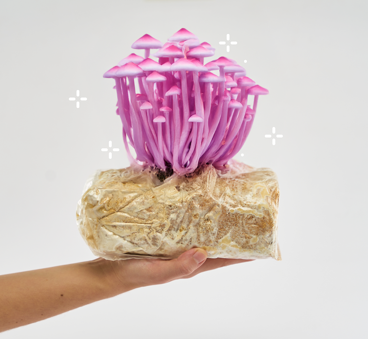 AnyMush™ pod USA