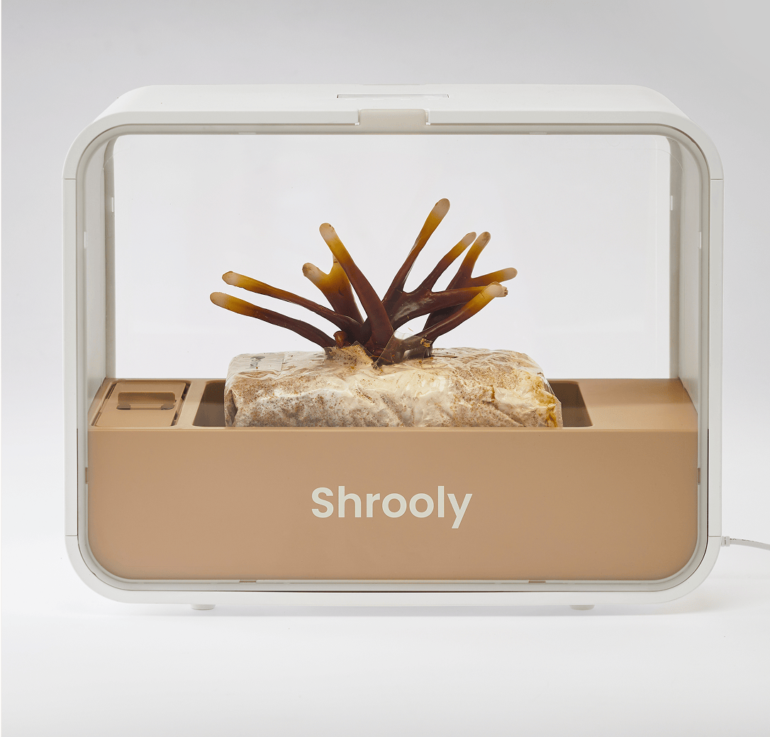 Shrooly - Device Only