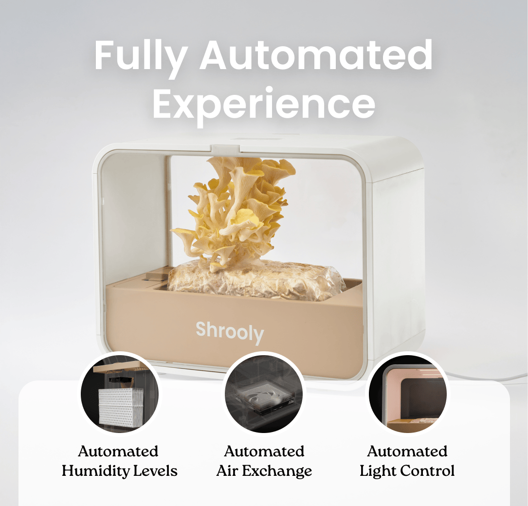Shrooly - Device Only