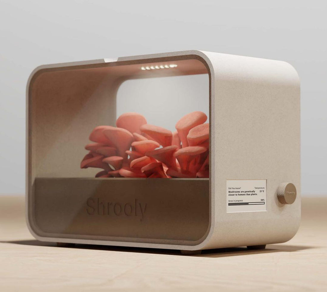 The secret mushroom-growing device of 2023 that you NEED to know about