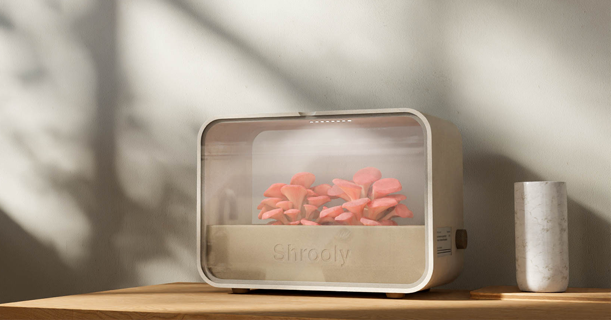 Shrooly