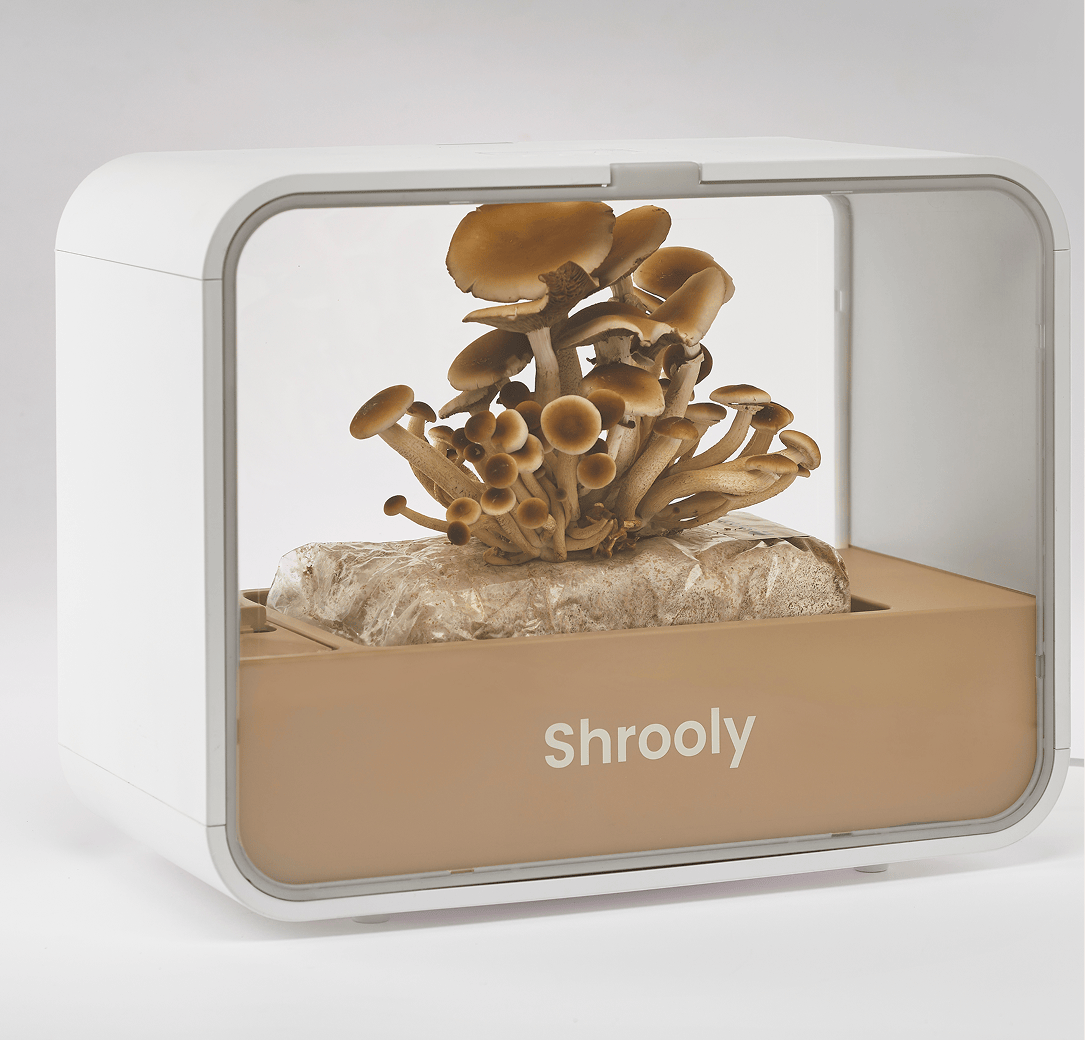 Shrooly - Device Only