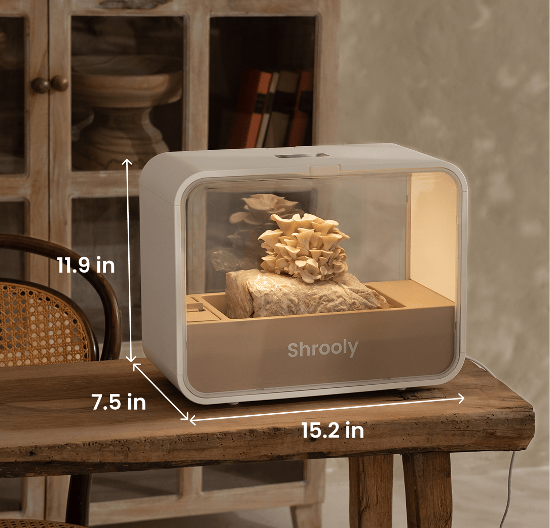 Shrooly - Device Only