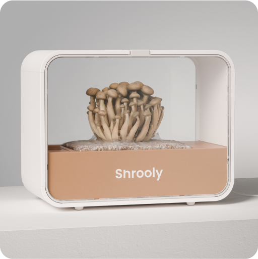 Shrooly S1 USA